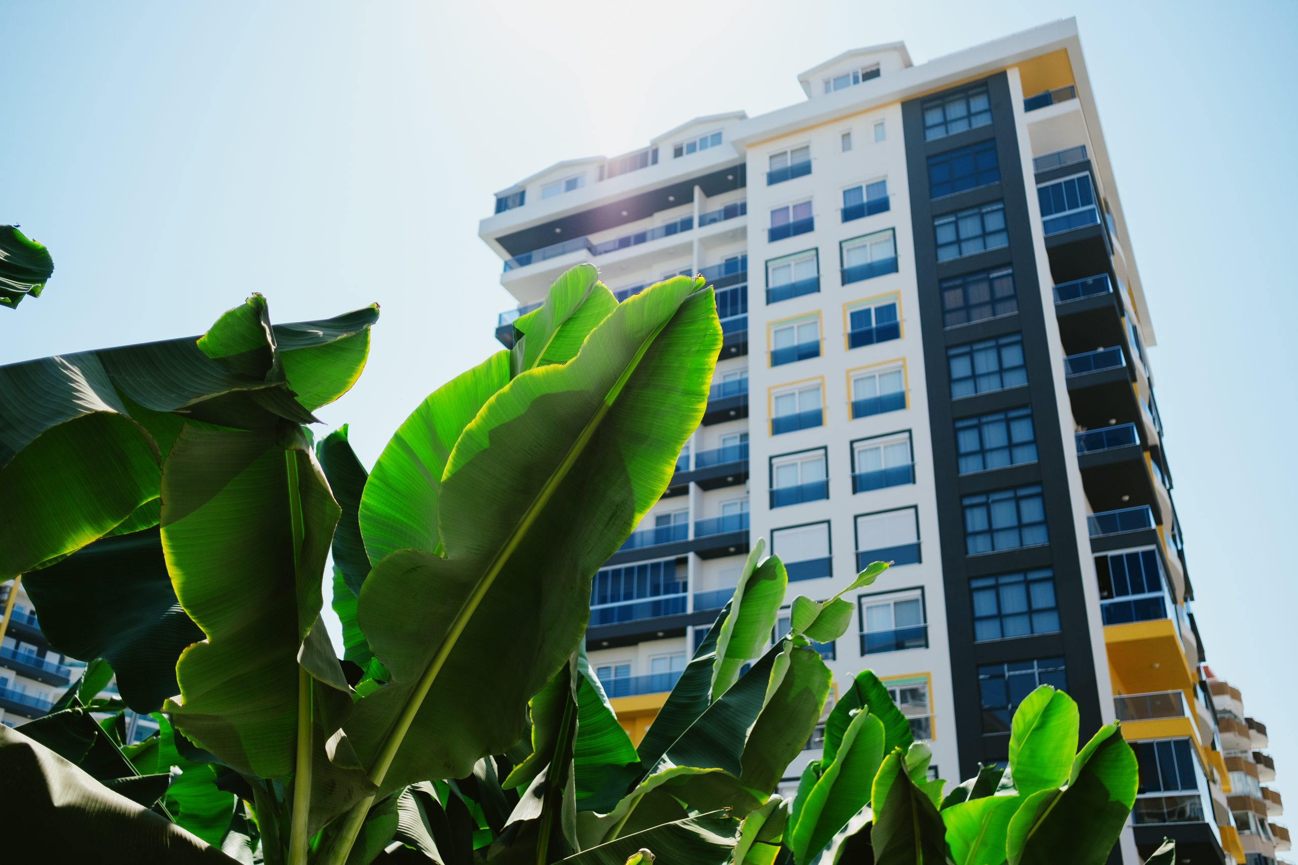 New tall buildings surrounded by trees Sandy path leading to a new real estate building with sky in background and green trees